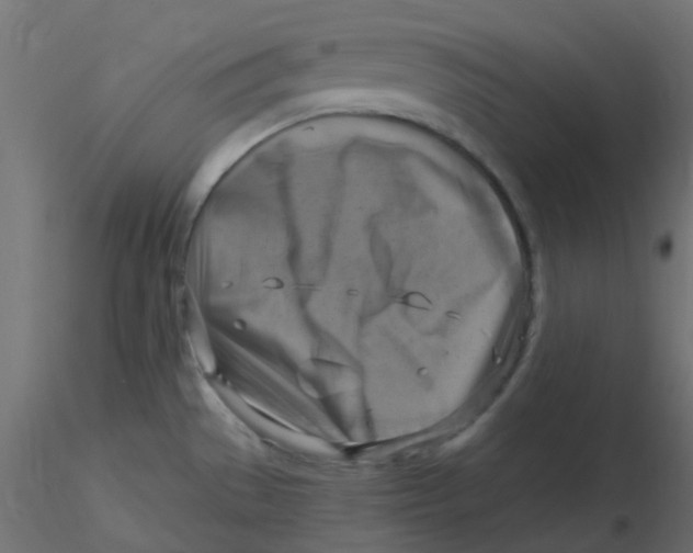 X0000116631529200912312149