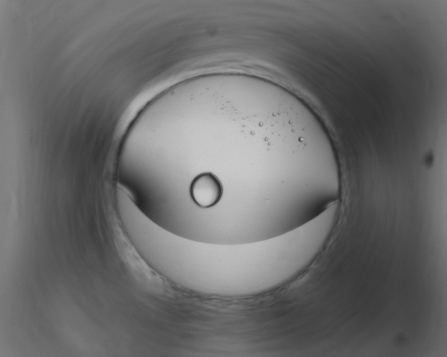 X0000116631530200912312149