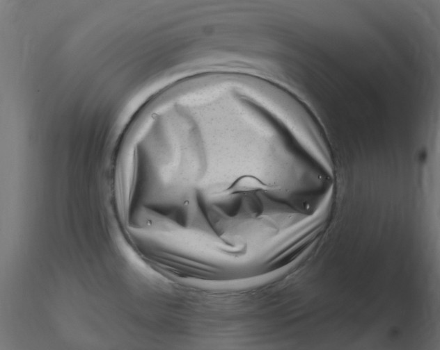 X0000116631531200912312149