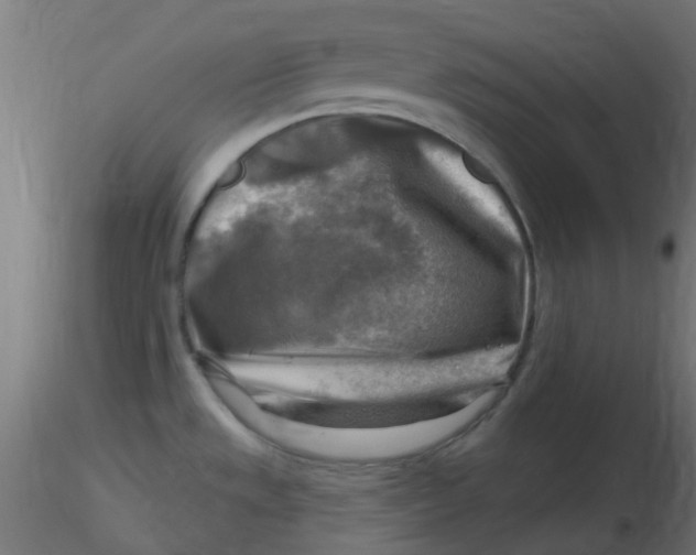 X0000116631533200912312149