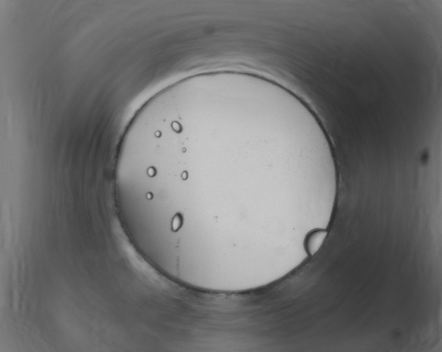 X0000116631534200912312149