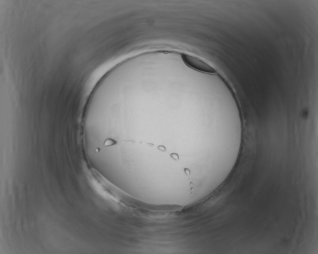 X0000116631535200912312149