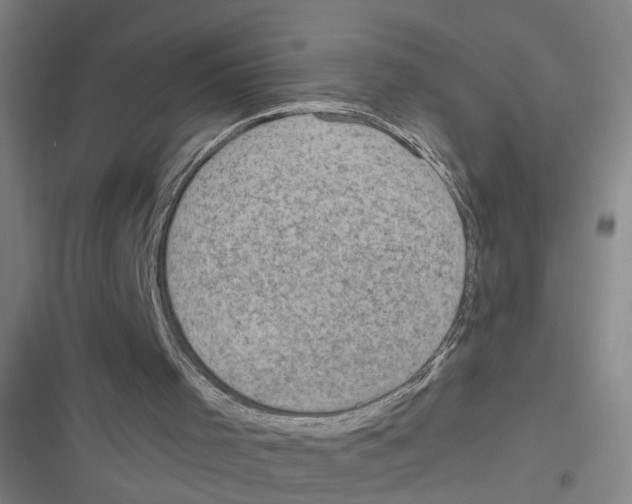 X0000116630001201001081302