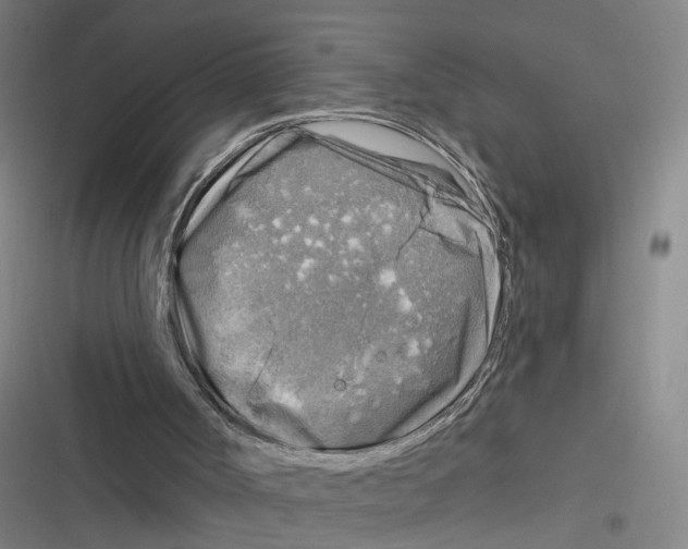 X0000116630002201001081302