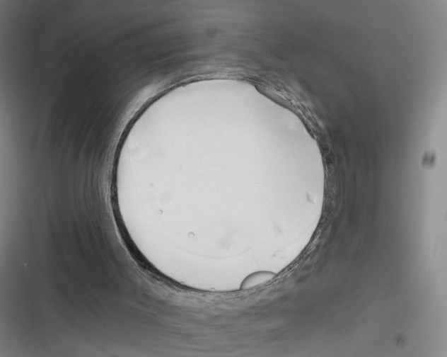 X0000116630003201001081302