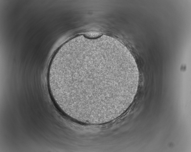X0000116630004201001081302