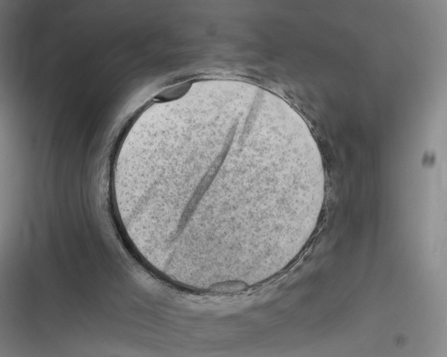 X0000116630005201001081302
