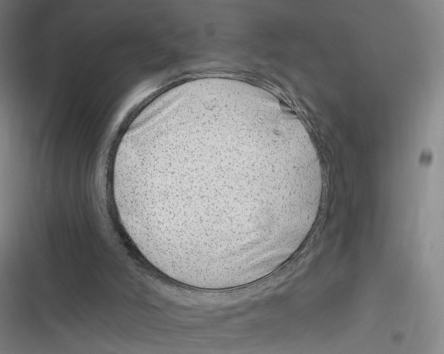 X0000116630006201001081302