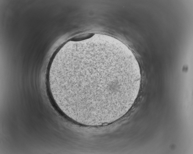 X0000116630007201001081302
