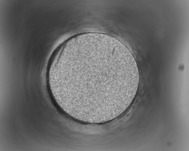 X0000116630008201001081302