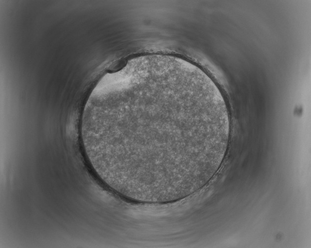 X0000116630009201001081302