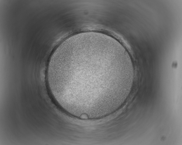 X0000116630010201001081302