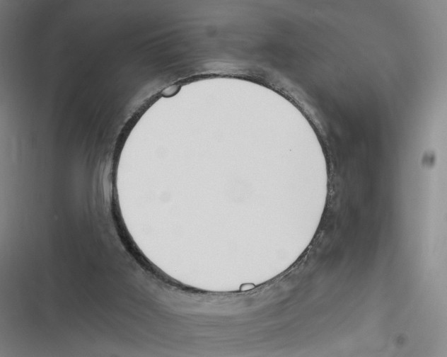 X0000116630011201001081302