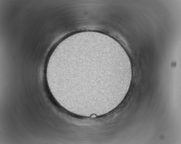 X0000116630012201001081302