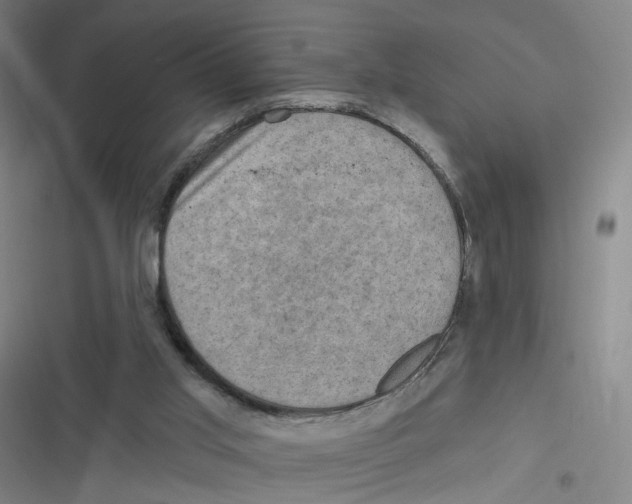 X0000116630013201001081302