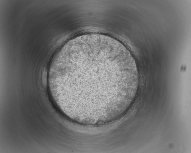 X0000116630014201001081302