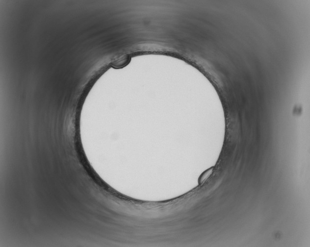 X0000116630015201001081302