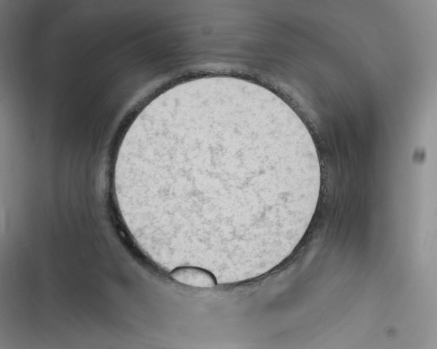 X0000116630016201001081302