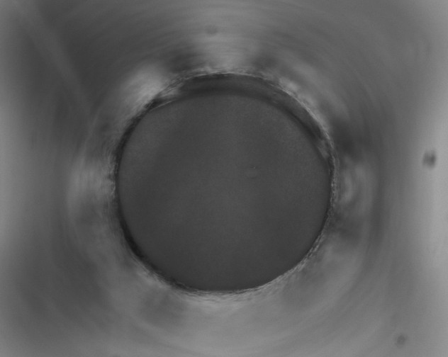 X0000116630017201001081302
