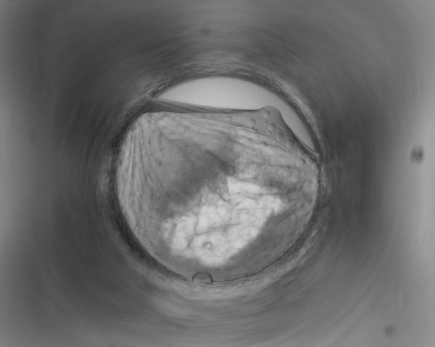 X0000116630018201001081302