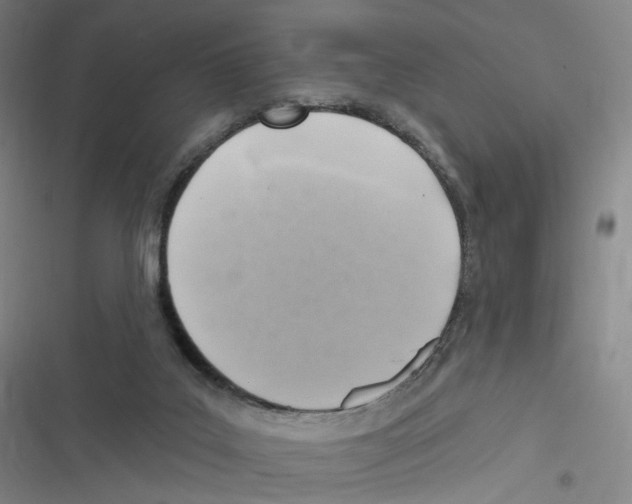 X0000116630019201001081302