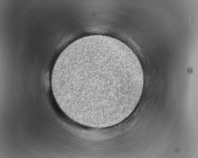 X0000116630020201001081302