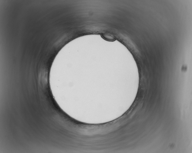 X0000116630021201001081302