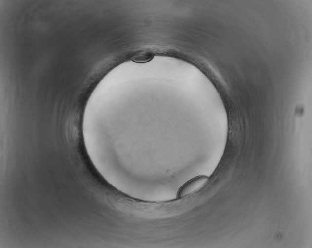 X0000116630023201001081302