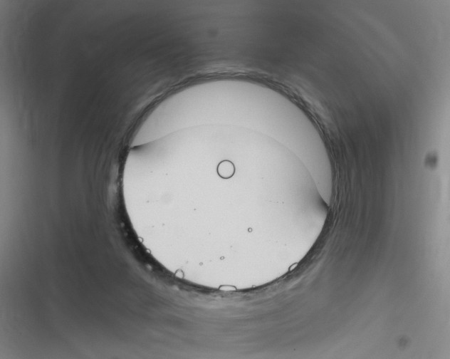 X0000116630024201001081302