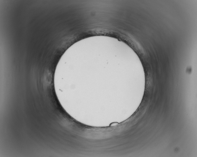 X0000116630025201001081302