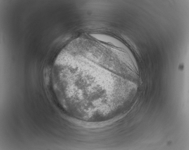 X0000116630026201001081302