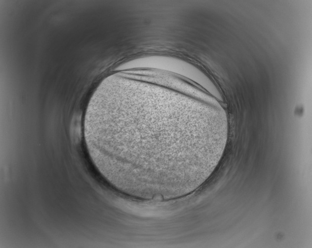 X0000116630028201001081302