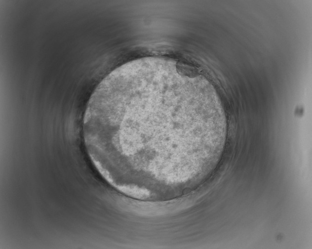 X0000116630030201001081302