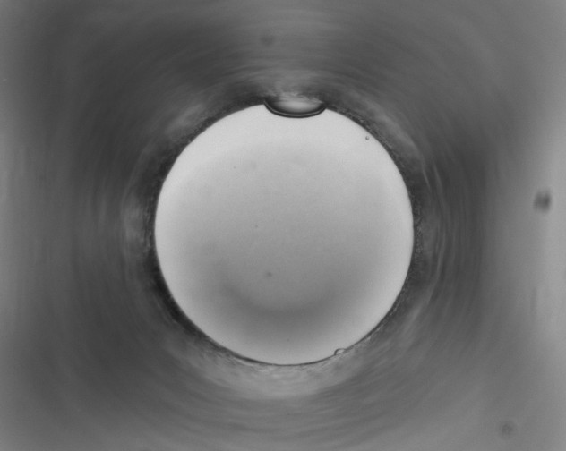 X0000116630031201001081302