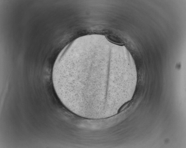 X0000116630033201001081302