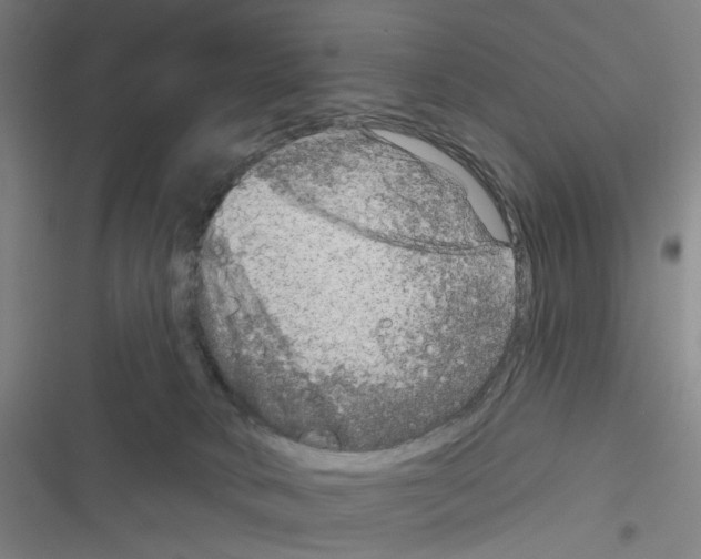 X0000116630034201001081302