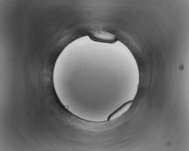X0000116630035201001081302
