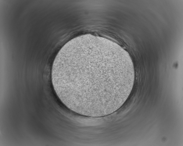 X0000116630036201001081302