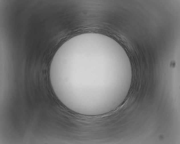 X0000116630037201001081302