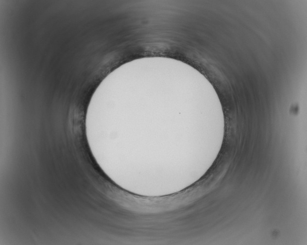 X0000116630038201001081302