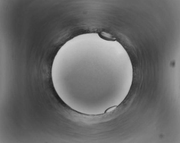 X0000116630039201001081302