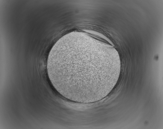 X0000116630040201001081302