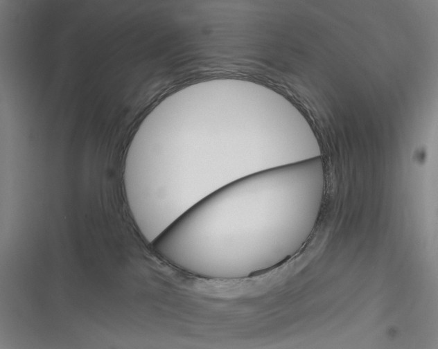 X0000116630041201001081302