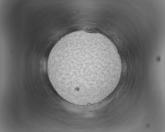 X0000116630042201001081302