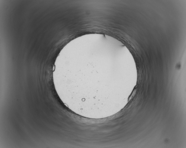X0000116630043201001081302
