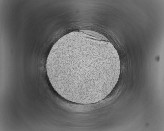 X0000116630044201001081302