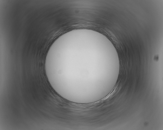 X0000116630045201001081302