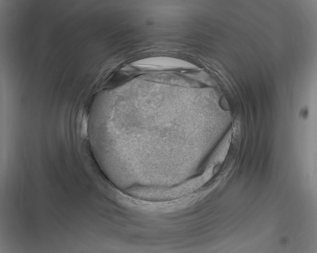 X0000116630046201001081302