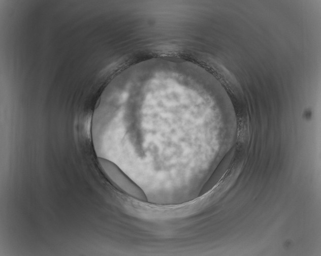 X0000116630047201001081302