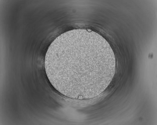 X0000116630048201001081302